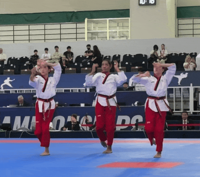 alisa_poomsae_team